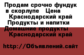Продам срочно фундук в скорлупе › Цена ­ 20 - Краснодарский край Продукты и напитки » Домашние продукты   . Краснодарский край